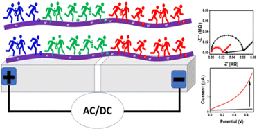 Graphical abstract: Controlling the protonic conductivity of full colour emitting carbon dot-doped biopolymers: role of functional groups