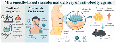 Graphical abstract: Fabrication and application of microneedle systems for adipose tissue reduction