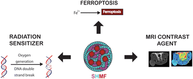 Graphical abstract: A multifunctional nanotheranostic: hyaluronic acid-squalene nanoclusters for radiosensitization, ferroptosis, and Mn/Fe-based dual MR imaging