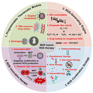 Graphical abstract: Application of metal–organic framework-based reactive oxygen species therapy in cancer