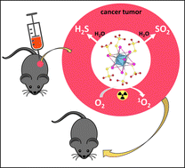 Graphical abstract: Octahedral iodide Mo6 cluster complex bearing thiosulfate ligands: a dual chemotherapeutic and radiodynamic agent for advanced cancer therapy