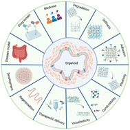 Graphical abstract: Hydrogel design for intestinal organoids: principles governing translational regenerative medicine