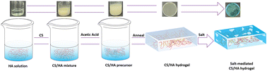 Graphical abstract: Salt-mediated modulation of the mechanical properties and photothermal response of a chitosan/hyaluronic acid hydrogel