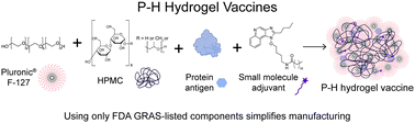 Graphical abstract: Enabling global access to potent subunit vaccines with a simple and scalable injectable hydrogel platform
