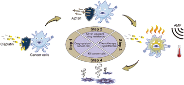Graphical abstract: Core–shell hydrogel microspheres with sequential drug release and magnetothermal synergy for drug-resistant ovarian cancer