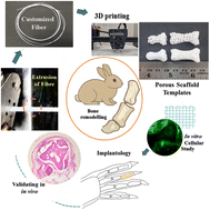 Graphical abstract: Bioresorbable-bioactive auxetic “personalised” phalanx with a CT-guided AI-driven model towards in vivo prediction of bone regeneration