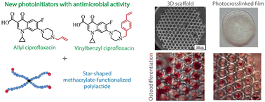 Graphical abstract: Hydrophobic ciprofloxacin derivatives as dual-functional photoinitiators for photocurable polylactide scaffolds in treatment of infected bone defects