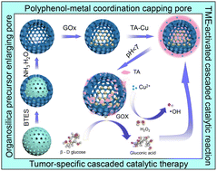 Graphical abstract: Large pore-sized organosilica nanoparticles with controlled release of glucose oxidase for tumor-specific cascaded catalytic therapy