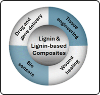 Graphical abstract: Advances in lignin and lignin-based composites in biomedical applications