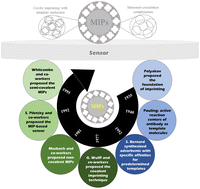 Graphical abstract: Molecularly imprinted polymers as emerging engineered platforms for precision molecular sensing