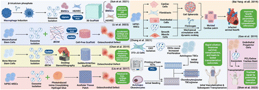 Graphical abstract: Bioprinting of Exosomes