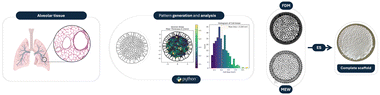 Graphical abstract: Bioinspired scaffold design using a custom Voronoi path generator for extrusion-based 3D printing