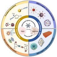 Graphical abstract: DNA-based hybrid nanoparticles: from design to application in cancer therapy