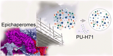 Graphical abstract: Epichaperomes: redefining chaperone biology and therapeutic strategies in complex diseases