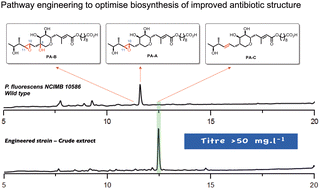 Graphical abstract: Synthetic biology routes to new and extinct natural products