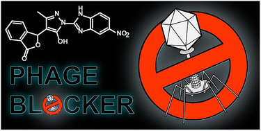 Graphical abstract: A novel class of small-molecule inhibitors targeting bacteriophage infection