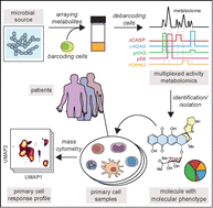 Graphical abstract: Discovery of natural products that modulate signaling in patient-derived cells