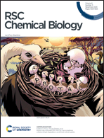 Graphical abstract: Front cover