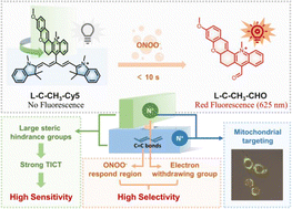 Graphical abstract: Fluorescence probe for the fast and sensitive detection and imaging of ONOO−via regulation of charge distribution
