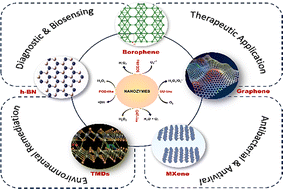 Graphical abstract: 2D nanozymes: bioinspired innovations for healthcare and environmental applications