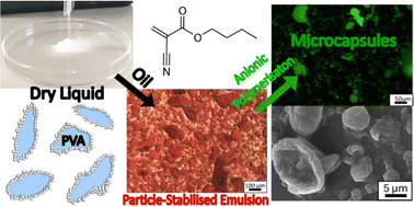 Graphical abstract: Dry liquid to Pickering-type emulsion: fabrication of non-spherical environmentally friendly microcapsules