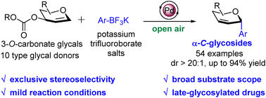 Graphical abstract: Stereoselective synthesis of C-glycosides from glycals and organotrifluoroborate salts