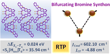 Graphical abstract: Room-temperature phosphorescence in crystalline bifurcating halogen⋯halogen synthon containing chromophore