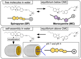 Graphical abstract: A photo-switchable surfactant possessing a spiropyran-moiety in its backbone – unravelling the structure of micelles with small-angle neutron scattering (SANS) and transmission electron microscopy (TEM)
