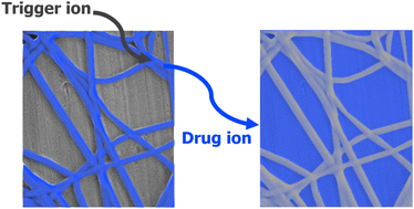Graphical abstract: Towards drug delivery systems triggered by ion-selective interactions