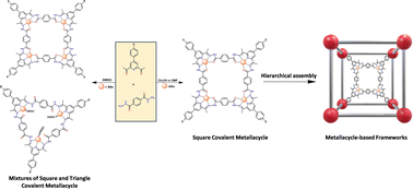 Graphical abstract: Solvent-mediated subcomponent self-assembly of covalent metallacycles for hierarchical porous materials synthesis
