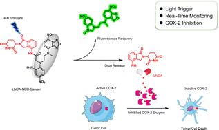 Graphical abstract: Light-triggered release of lenalidomide with fluorescent indication for inhibition of COX-2 enzyme activity in cancer cells