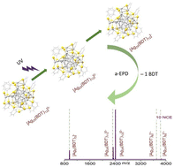 Graphical abstract: Ultraviolet photoactivation perturbs the metal-ligand interface of atomically precise nanoclusters
