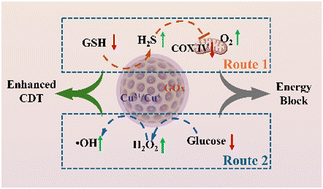 Graphical abstract: An efficient nanoreactor reverses the tumor immunosuppressive microenvironment through synergetic dual-route reactions