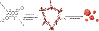 Graphical abstract: A core-substituted naphthalene diimide-based supramolecular triangle and its self-assembly into nanostructures