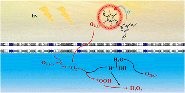 Graphical abstract: End-capping fluorination of vinylene-linked covalent organic frameworks for photocatalytic hydrogen peroxide production