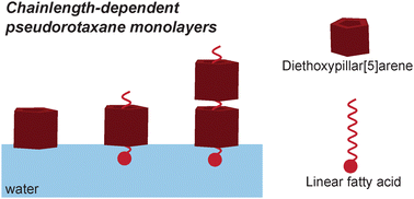 Graphical abstract: Pseudorotaxane monolayers of pillar[5]arene and linear fatty acids at the air–water interface