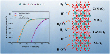 Graphical abstract: Boosting P-CoMoO3/MoO2 hydrogen evolution via water molecule dissociation by MoO2 and H2 desorption by CoMoO3