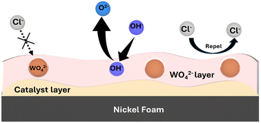 Graphical abstract: Anionic insertion-prompted corrosion resistance in a metal–organic framework anode for seawater oxidation
