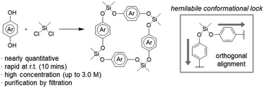 Graphical abstract: Exclusive macrocyclization through multiple Si–O bond formations from diol and dichlorosilane