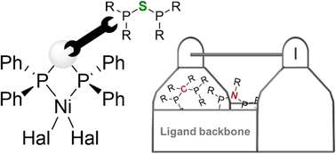 Graphical abstract: Short-bite PSP-type ligands: coordination chemistry and ligand rearrangement reactions
