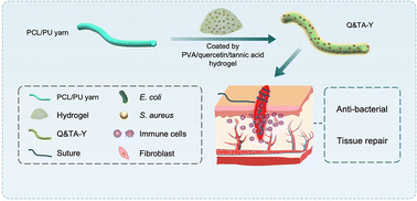Graphical abstract: Bioactive microfiber yarns serving as sutures with antibacterial and pro-tissue repair capabilities