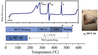 Graphical abstract: Melt-quenched synthesis of a manganese ZIF glass
