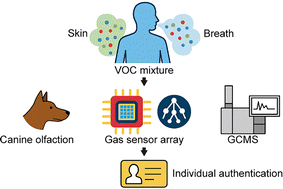 Graphical abstract: Odor-based individual authentication