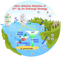 Graphical abstract: Ultra-selective detection of radionuclide Sr2+via tuning valence Eu3+ to Eu2+ in lanthanide clusters