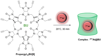 Graphical abstract: Bambusuril as an effective astatide sequestrating agent by hydrogen bonding