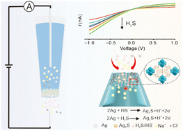 Graphical abstract: Ag2S-gated ion rectification in confined AgNCs@UiO-66 nanochannels enables sensitive monitoring of bacterial H2S release