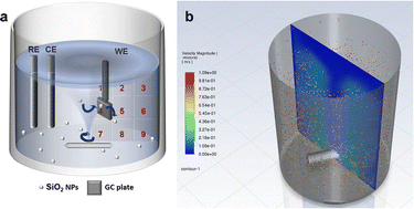 Graphical abstract: Investigation of spatial-dependent electrochemical performance in fluidized electrochemistry: the critical role of working electrode positioning