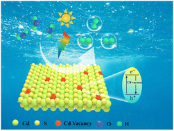 Graphical abstract: Enhanced photocatalytic H2 production of CdS by the introduction of Cd vacancies