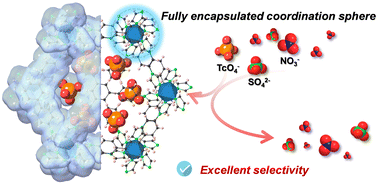 Graphical abstract: Correlation between coordination environments and sorption selectivity to 99TcO4− in two-dimensional metal–organic frameworks