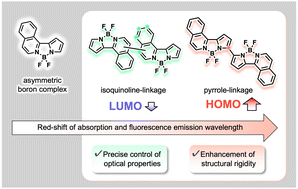 Graphical abstract: Dimeric boron complexes bearing isoquinolyl-pyrrole ligands
